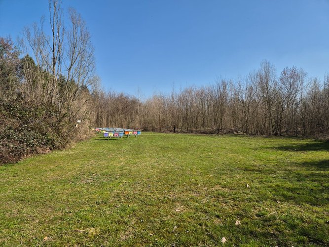 Semi-centrale -8/25 Mariano Comense