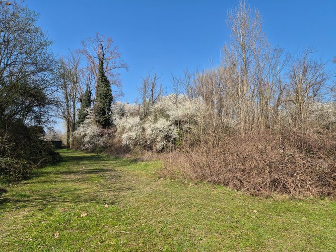 Semi-centrale -8/25 Mariano Comense