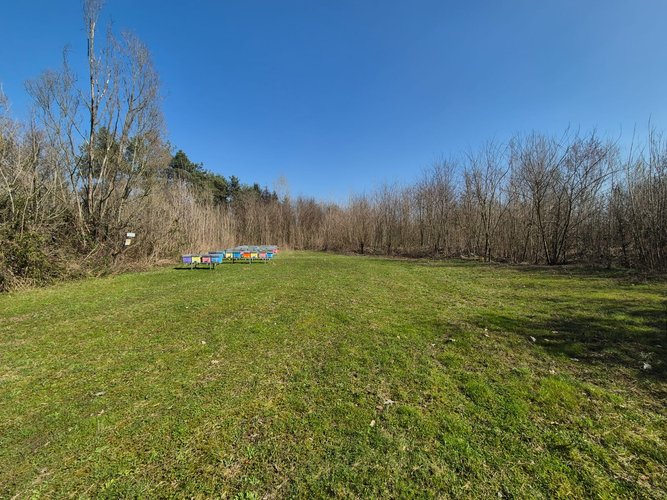 Semi-centrale -8/25 Mariano Comense