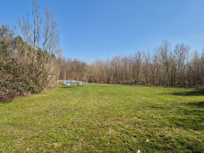 Semi-centrale -8/25 Mariano Comense