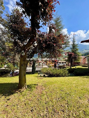 SIGNORILE VILLA SINGOLA! Oltre il Colle