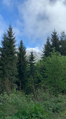 Oltre il Colle, imperdibile trilocale arredato Oltre il Colle