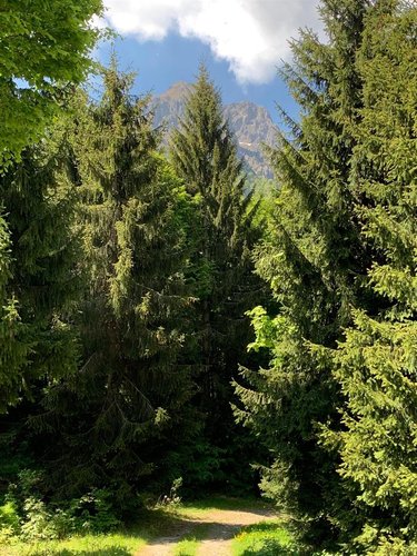 Oltre il Colle, imperdibile trilocale arredato Oltre il Colle