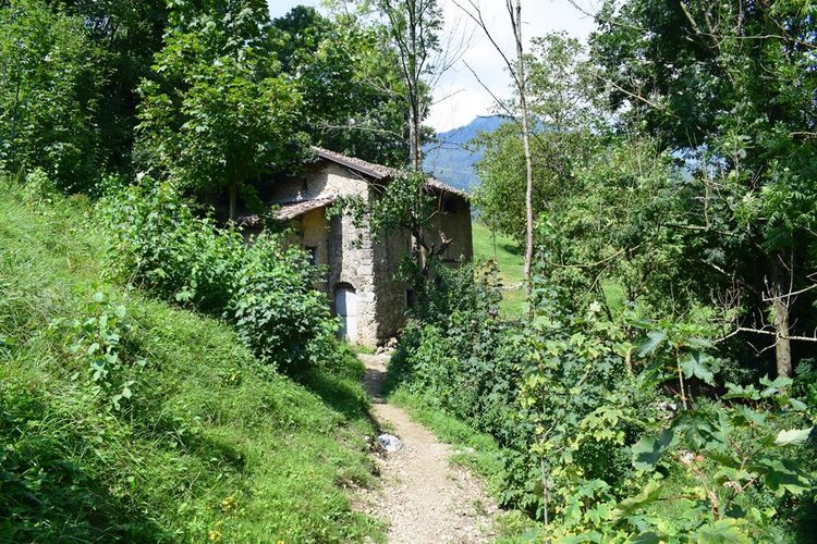 Serina, immerso nel verde, porzione di rustico con terreno