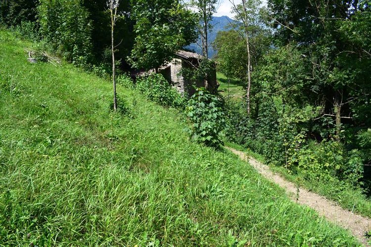 Serina, immerso nel verde, porzione di rustico con terreno Serina