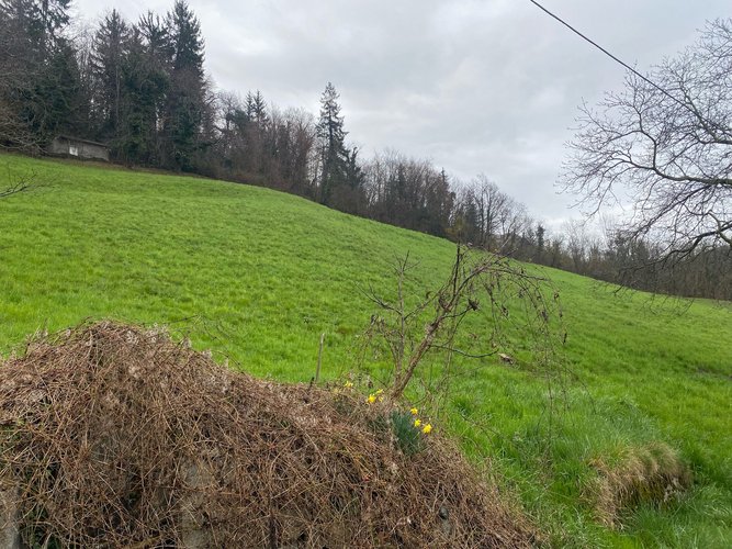 VISTA AEREA! San Giovanni Bianco