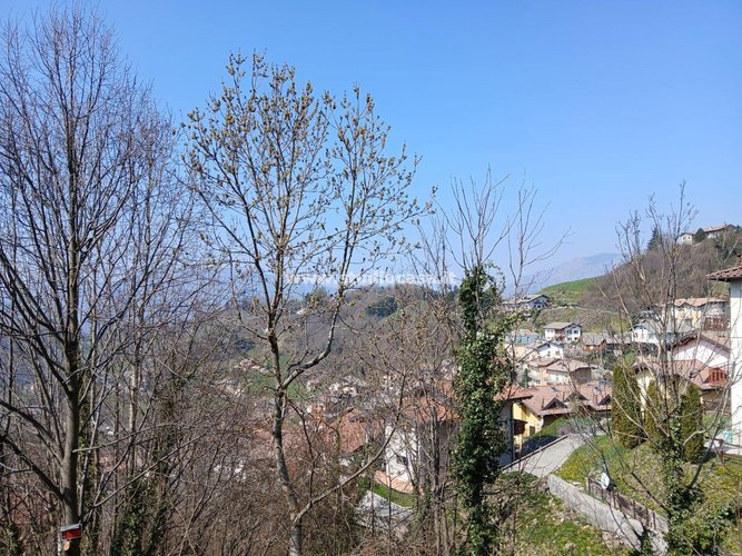 ZONA PANORAMICA! Dossena