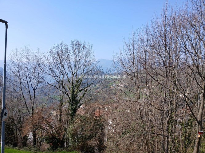 ZONA PANORAMICA! Dossena