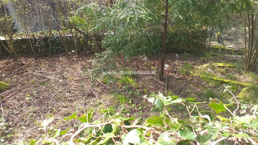 SOLEGGIATISSIMA! Serina