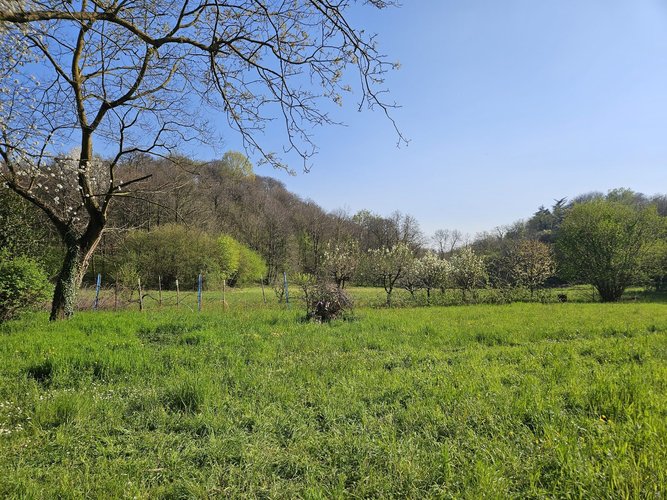 Semi-centrale - 14/25