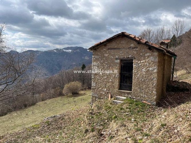 IMMERSO NELLA NATURA!