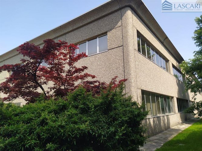 Capannone - Rif. 2665