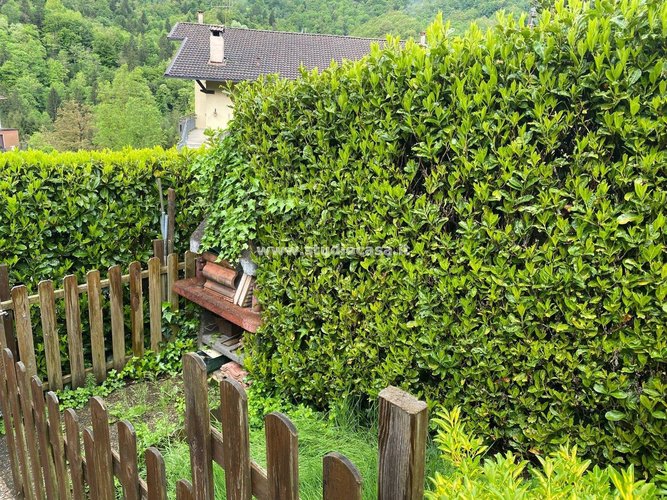 SUPER PANORAMICA!!! Algua