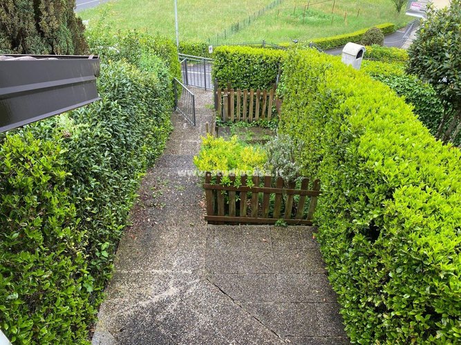 SUPER PANORAMICA!!! Algua