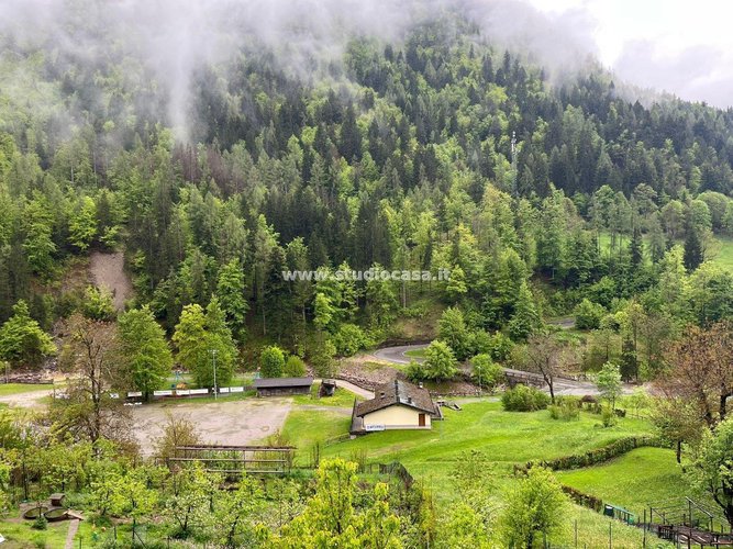 SOLEGGIATO! Roncobello