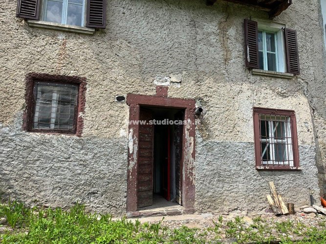 IMMERSO NEL VERDE! Roncobello