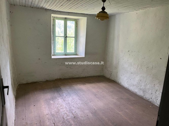 IMMERSO NEL VERDE! Roncobello