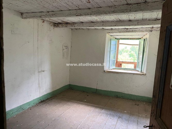 IMMERSO NEL VERDE! Roncobello