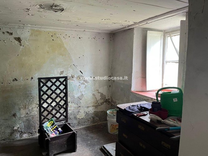 IMMERSO NEL VERDE! Roncobello