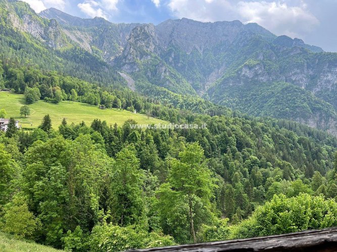 IMMERSO NEL VERDE! Roncobello