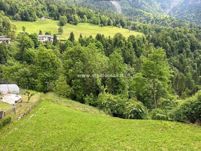 IMMERSO NEL VERDE! Roncobello