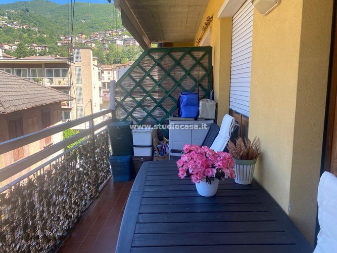 CENTRALISSIMO! Zogno