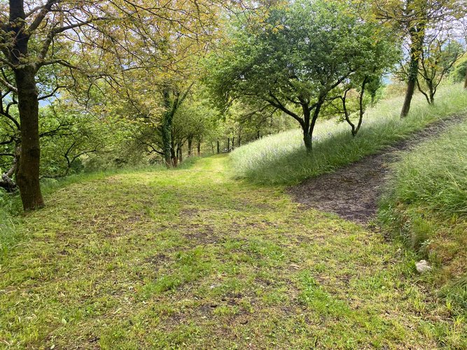 IMMERSO NEL VERDE! San Giovanni Bianco