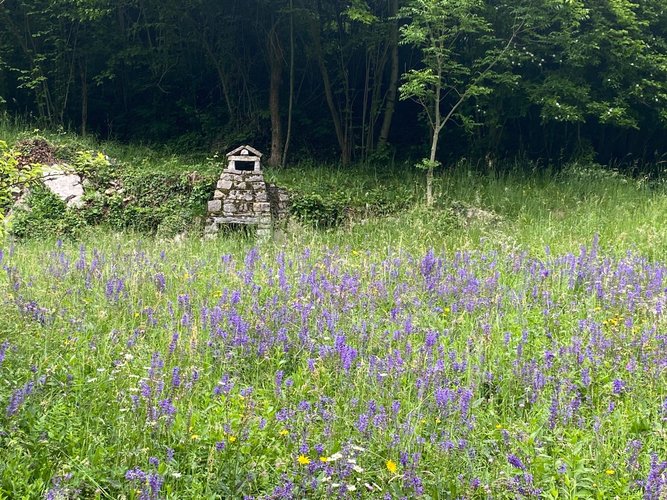 IMMERSO NEL VERDE! San Giovanni Bianco