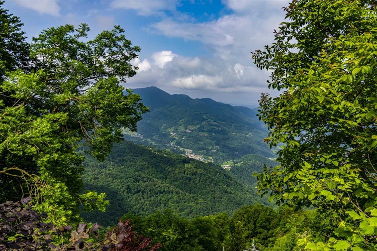 Zogno, introvabile chalet singolo con giardino privato Zogno