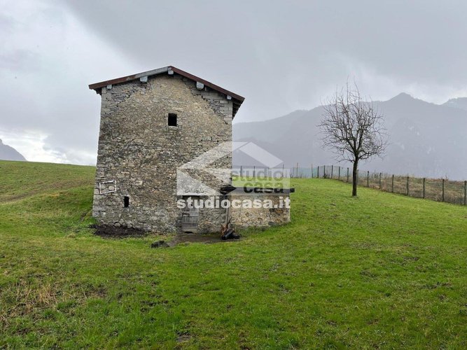 PER GLI AMANTI DELLA TRANQUILLITA'! Taleggio