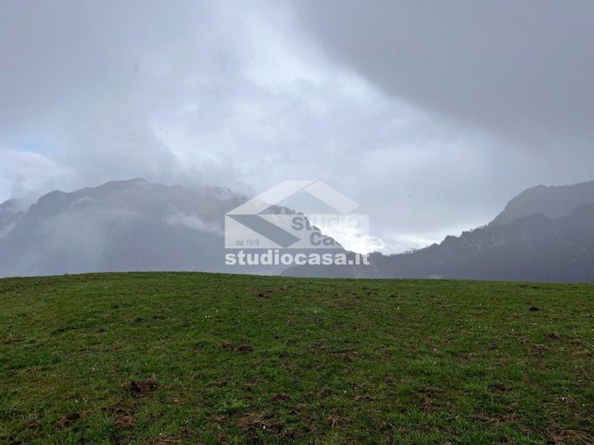 PER GLI AMANTI DELLA TRANQUILLITA'! Taleggio