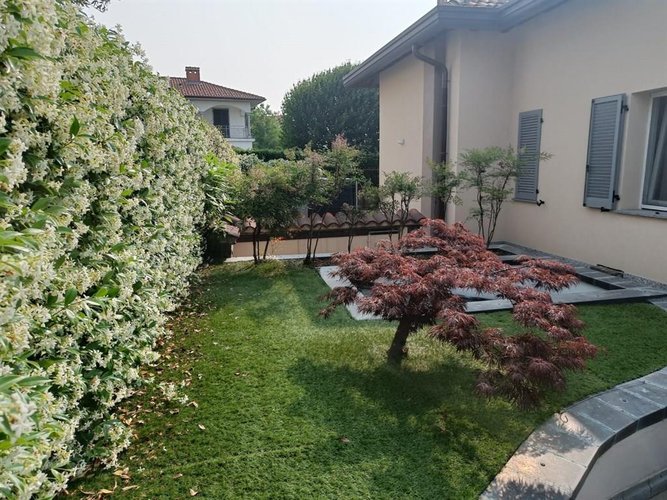 Villa 6 locali - Rif. 245 Montano Lucino
