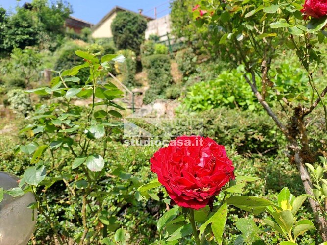 DI RECENTE COSTRUZIONE! Cornalba