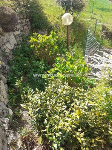 PANORAMA SULLA VALLE!! Costa Serina