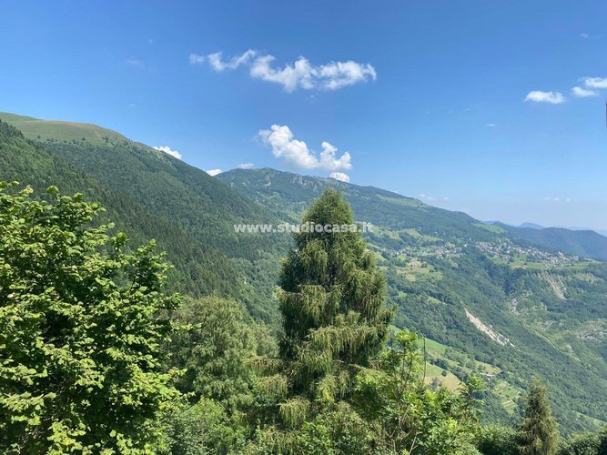 IMMERSO NELLA NATURA! Brumano