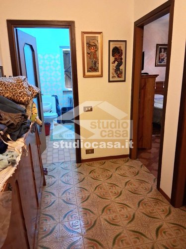 BACIATA DAL SOLE! Taleggio