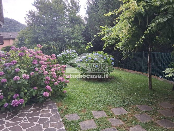 LUMINOSISSIMO! Zogno