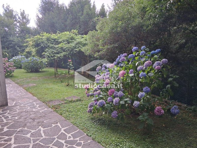 LUMINOSISSIMO! Zogno