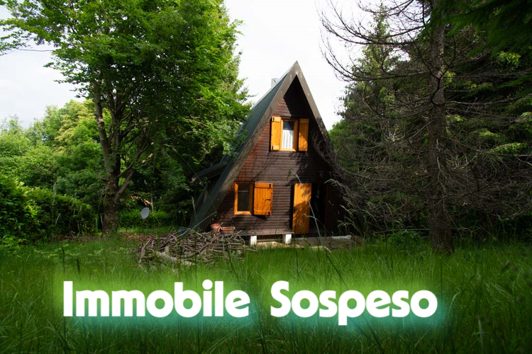 Zogno, introvabile chalet singolo con giardino privato