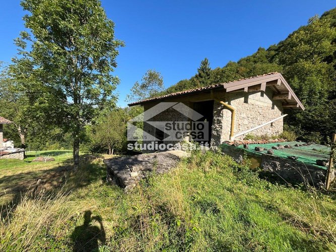 IMMERSO NEL VERDE! Costa Serina