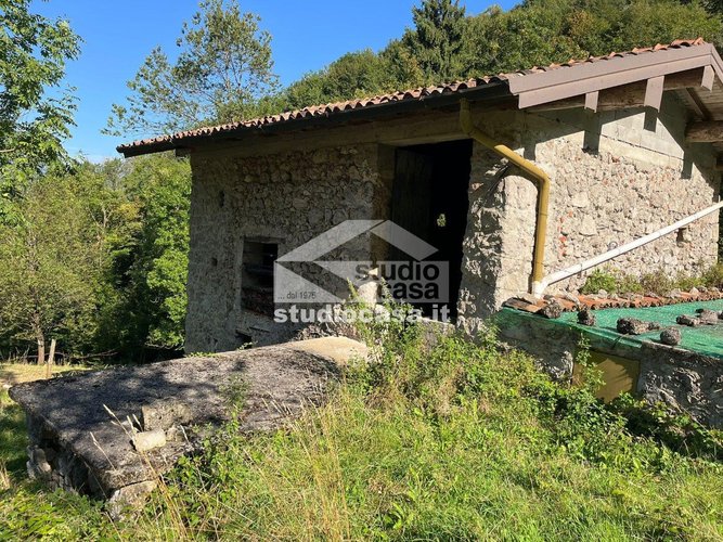 IMMERSO NEL VERDE! Costa Serina