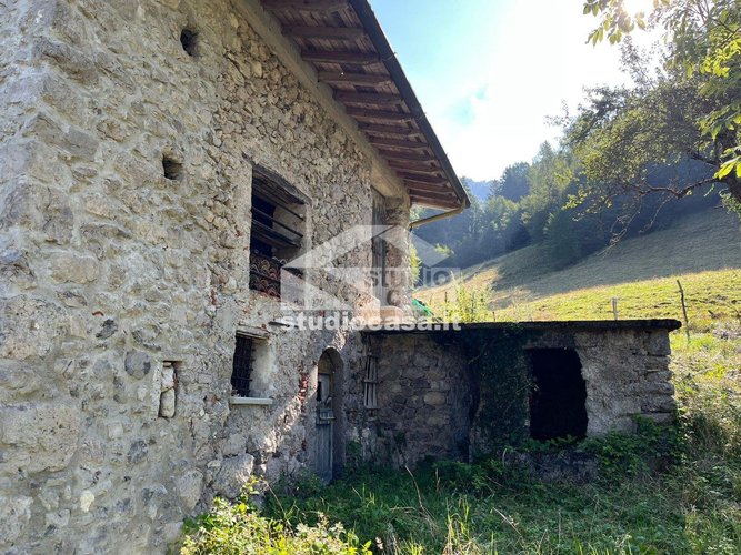 IMMERSO NEL VERDE! Costa Serina