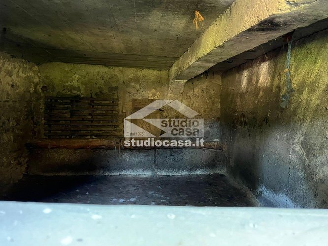 IMMERSO NEL VERDE! Costa Serina