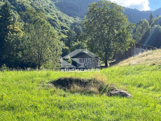 IMMERSO NEL VERDE! Costa Serina