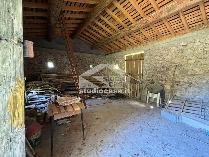 IMMERSO NEL VERDE! Costa Serina