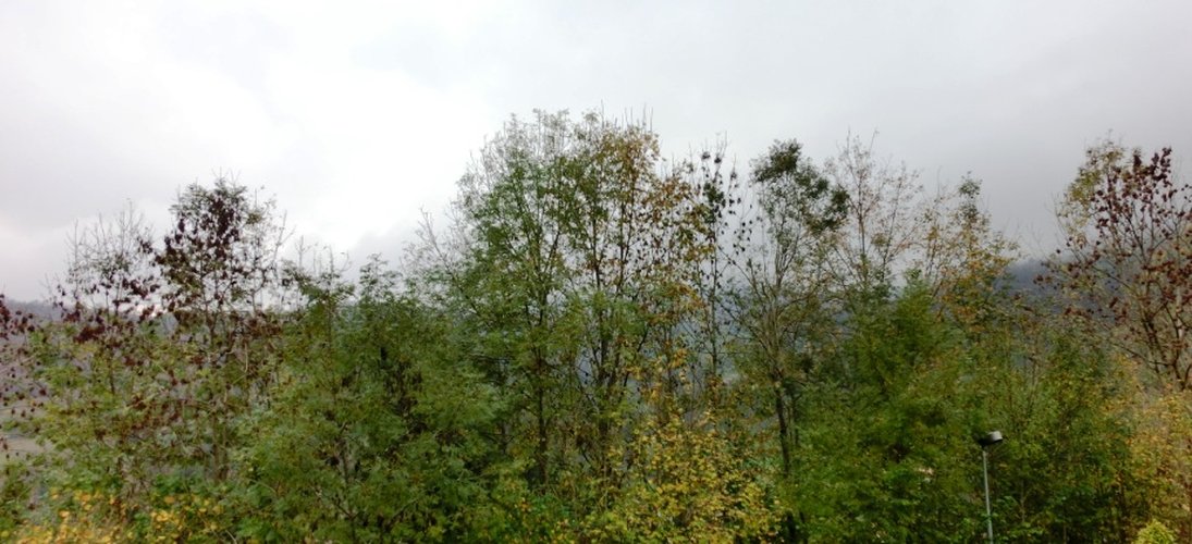 Serina in tipico chalet montano, ottimo trilocale con giardino Serina