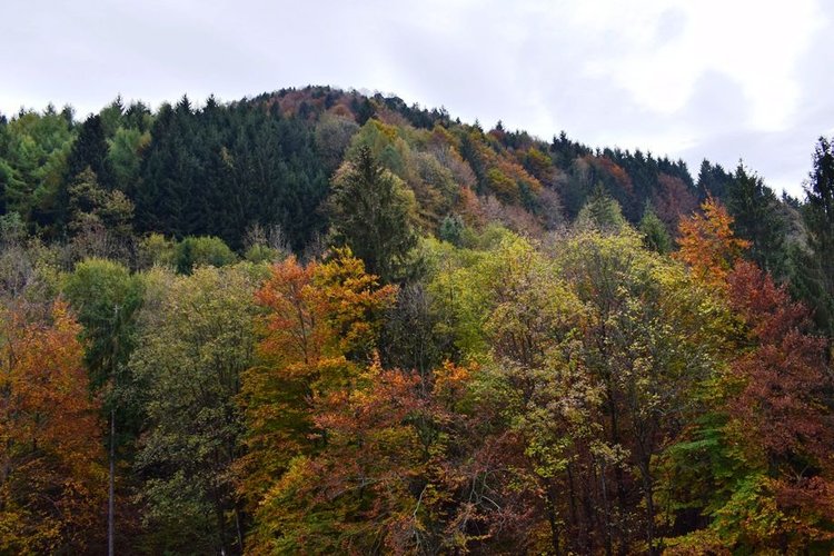 Oltre il Colle, centralissimo imperdibile bilocale con balcone Oltre il Colle
