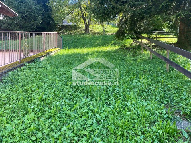 GRAZIOSISSIMA SOLUZIONE! Piazzolo