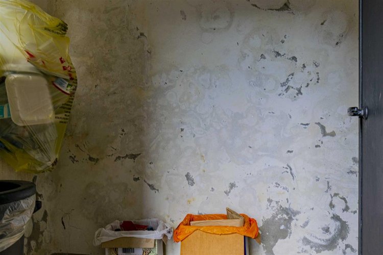 Costa Serina, imperdibile porzione di casa con godibilissimo giardino Costa Serina