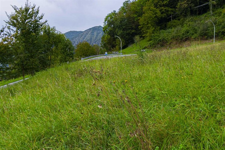 Costa Serina, imperdibile porzione di casa con godibilissimo giardino Costa Serina